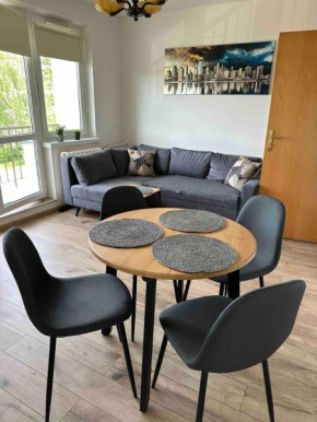 Cozy, sunny apartment, Łódź